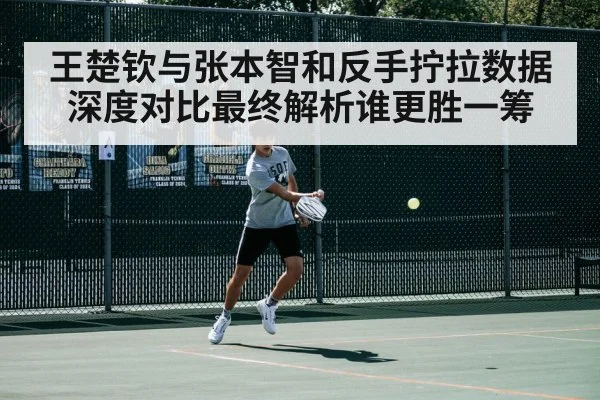 王楚钦与张本智和反手拧拉数据深度对比最终解析谁更胜一筹