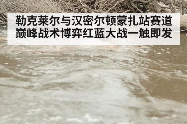 勒克莱尔与汉密尔顿蒙扎站赛道巅峰战术博弈红蓝大战一触即发
